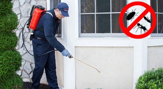 Yahyalı Böcek İlaçlama böcek ilaçlama ve haşere kontrolü — ilaclama-tr.com